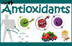 آنتی اکسیدان چیست؟ + چه فوایدی برای بدن دارد؟